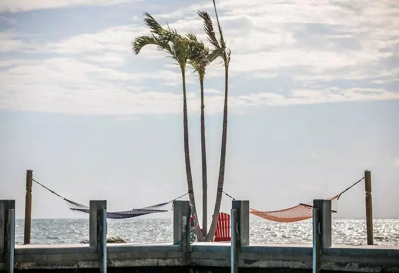 Ragged Edge Resort & Marina