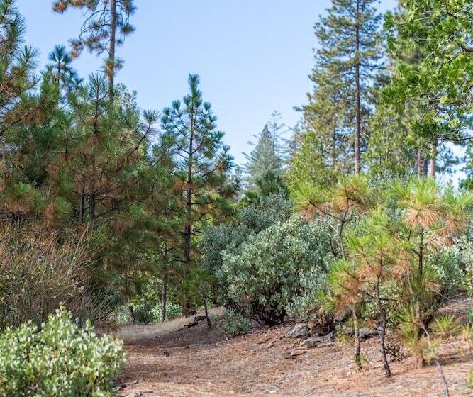 酒店 Inn At Sugar Pine Ranch