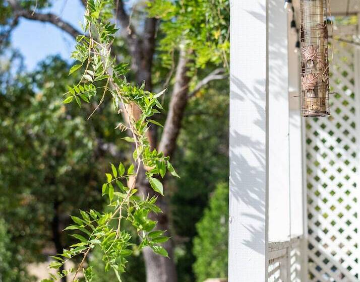 酒店 Inn At Sugar Pine Ranch