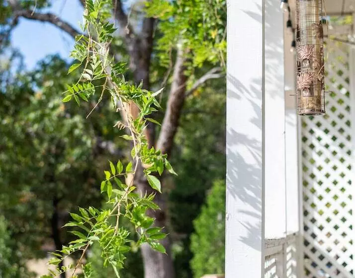 Hotelli Inn At Sugar Pine Ranch