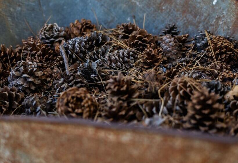 酒店 Inn At Sugar Pine Ranch