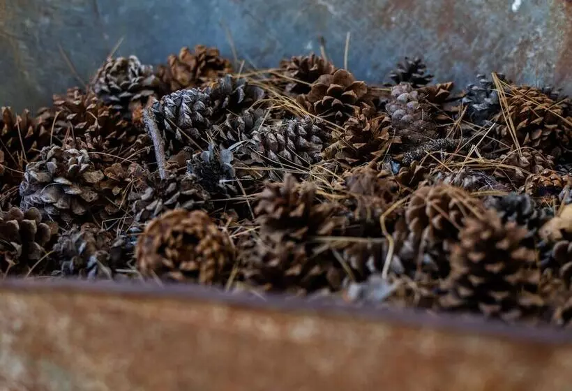 Hotelli Inn At Sugar Pine Ranch