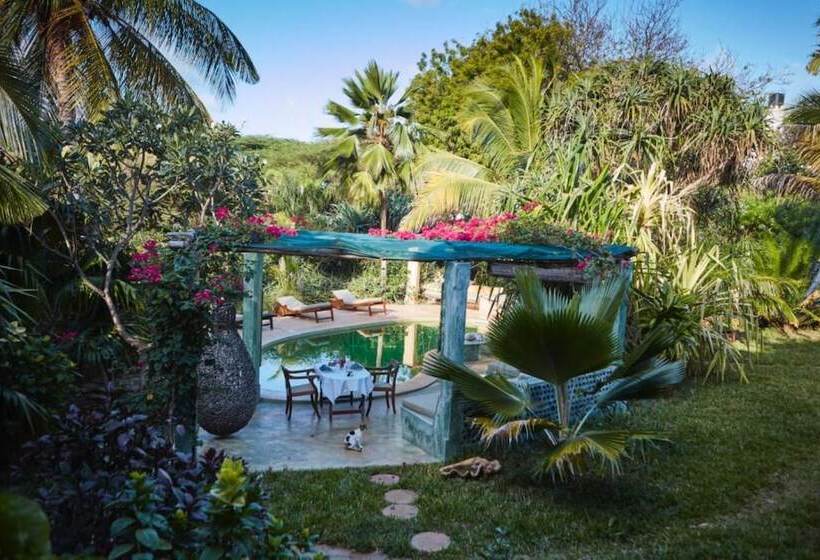 هاستل Banana House And Wellness Centre