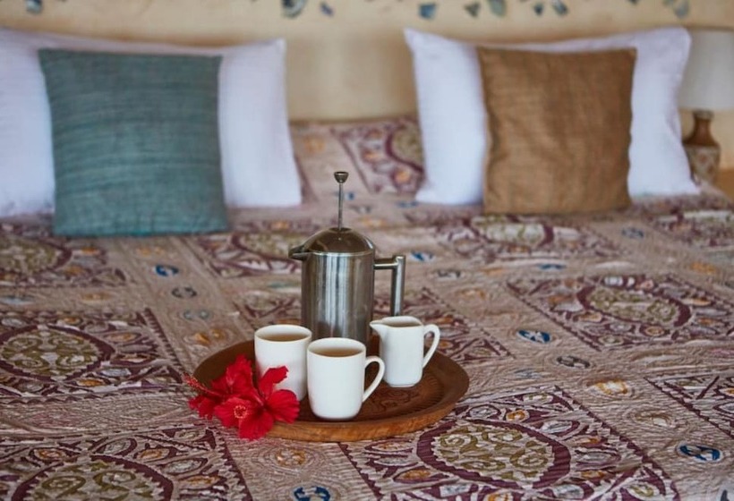 هاستل Banana House And Wellness Centre