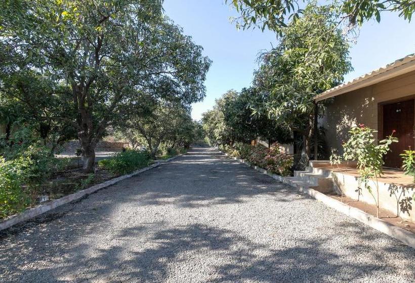 فندق Capital O 69388 Bright View Cottage