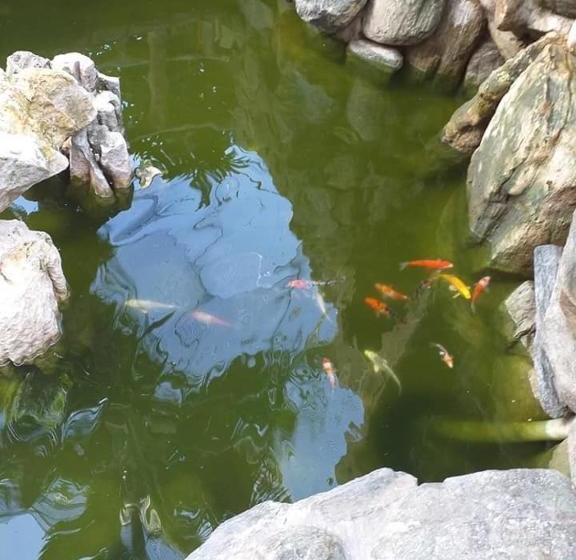 酒店 Isteraha Haven Inn