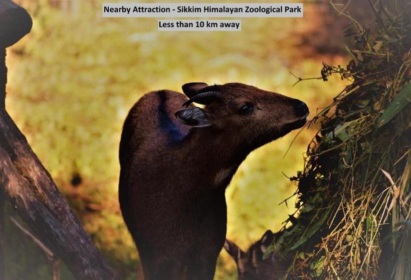 Hotelli Spot On 67258 Sri Ranga Lodge