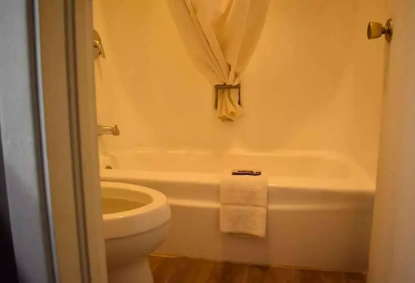 هتل Satellite Inn