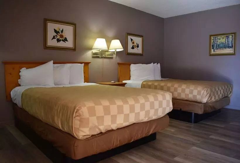 هتل Satellite Inn