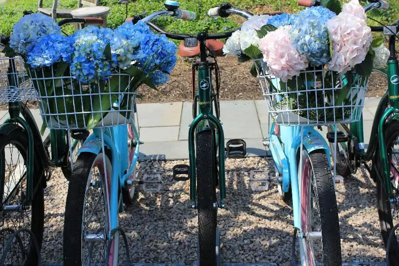 Отель Saybrook Point Resort & Marina