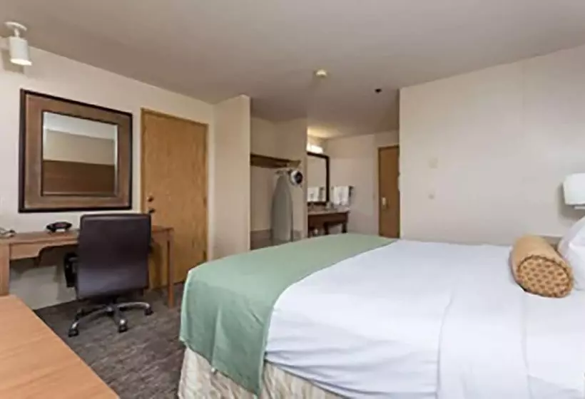 Shilo Inn Hotel & Suites Yuma