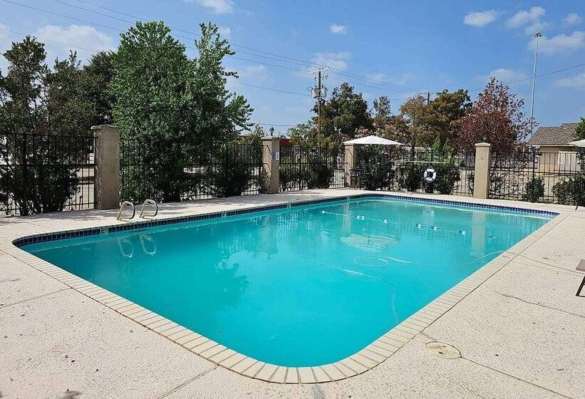 호텔 Super 8 By Wyndham Metairie