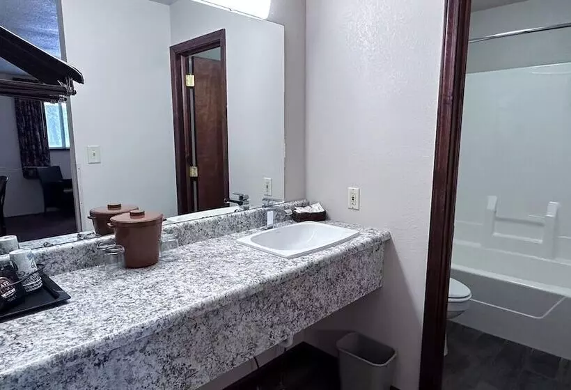 酒店 The Shelby Inn