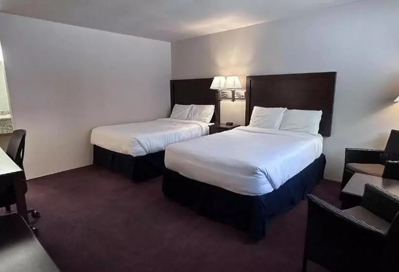 酒店 The Shelby Inn