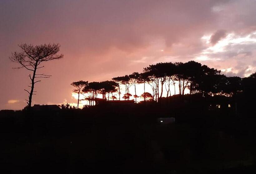 בית מלון כפרי Mandala Beach Chihuahua Naturista Nudista Opcional  Exclusivo Adultos