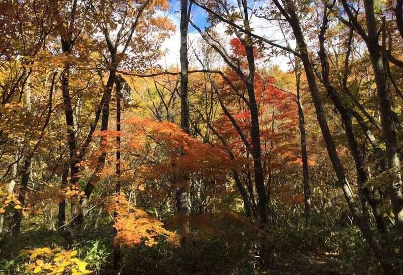 Пансион Merry King's