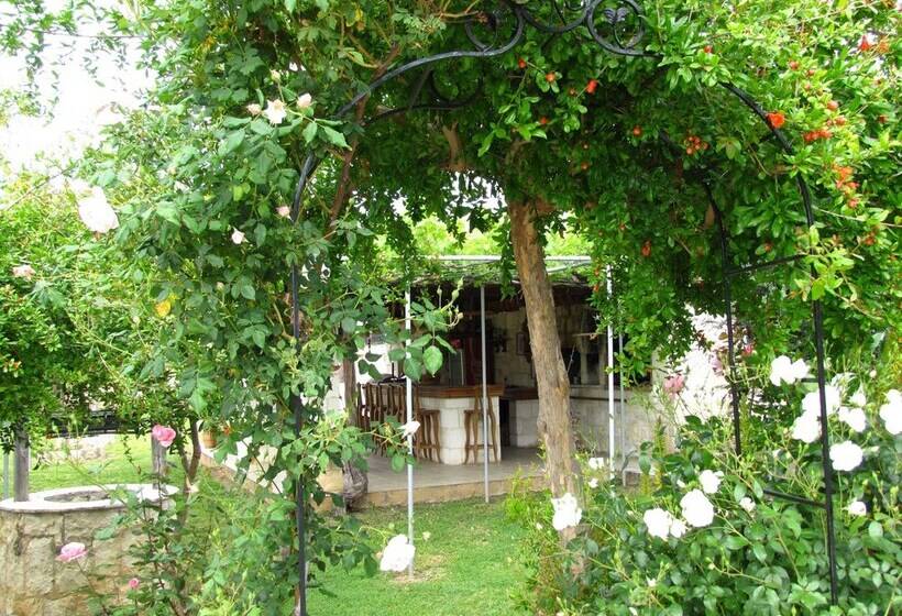 Webooking Konstantinos Villa