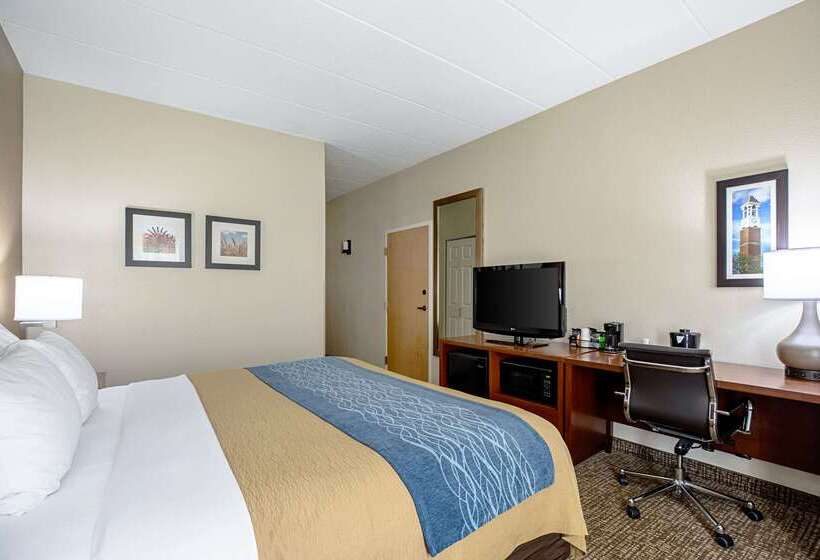 호텔 Comfort Inn Indianapolis North  Carmel