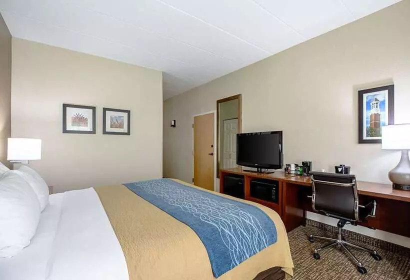 ホテル Comfort Inn Indianapolis North  Carmel