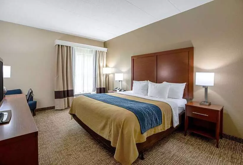 ホテル Comfort Inn Indianapolis North  Carmel