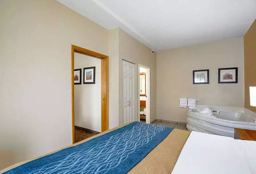 ホテル Comfort Inn Indianapolis North  Carmel