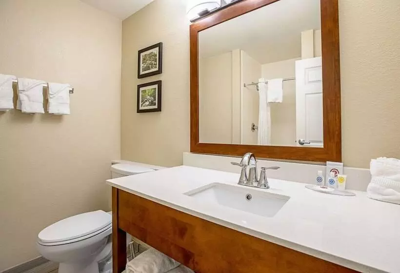 ホテル Comfort Inn Indianapolis North  Carmel