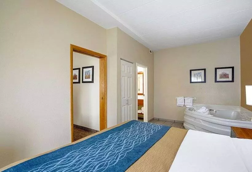 ホテル Comfort Inn Indianapolis North  Carmel