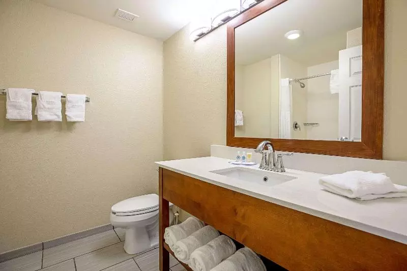 ホテル Comfort Inn Indianapolis North  Carmel