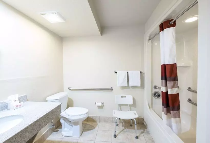 בית מלון כפרי Greentree Inn Houston Iah Airport