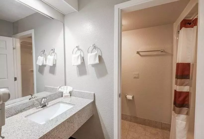 בית מלון כפרי Greentree Inn Houston Iah Airport