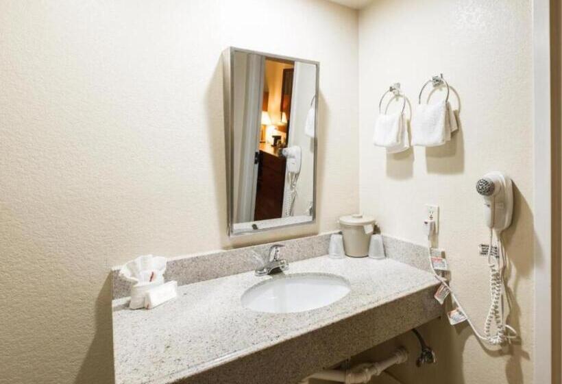 酒店 Greentree Inn Houston Iah Airport