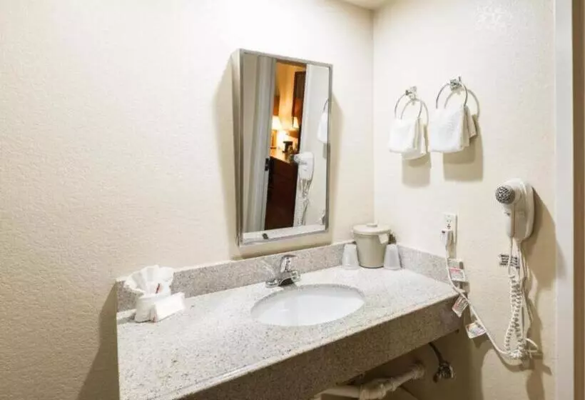 בית מלון כפרי Greentree Inn Houston Iah Airport