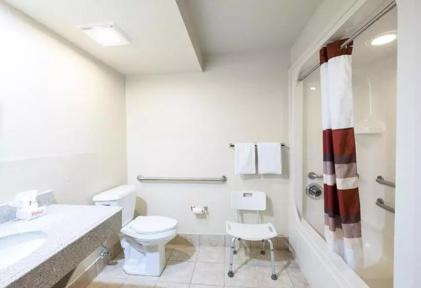 בית מלון כפרי Greentree Inn Houston Iah Airport