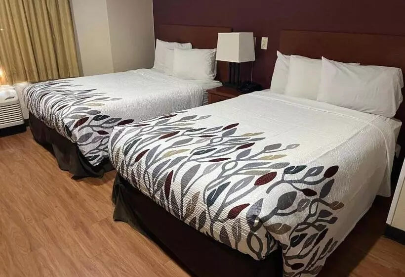 בית מלון כפרי Greentree Inn Houston Iah Airport