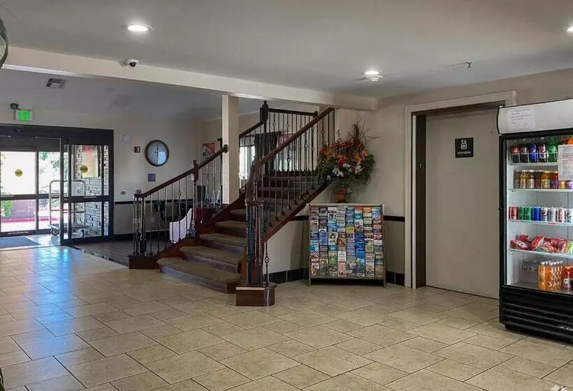 בית מלון כפרי Greentree Inn Houston Iah Airport