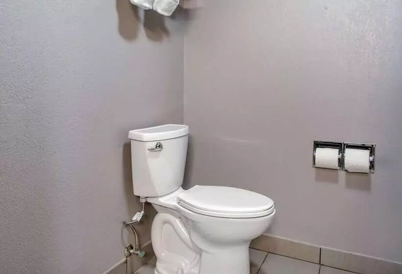 فندق Quality Inn & Suites Bedford West