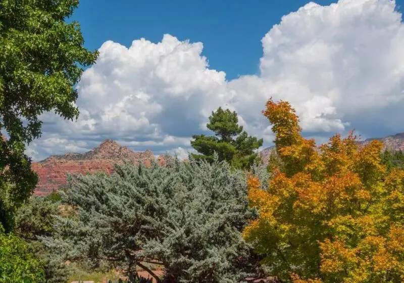 ホテル Sky Ranch Lodge