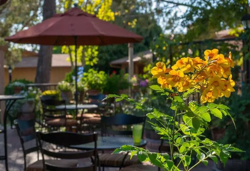 ホテル Sky Ranch Lodge