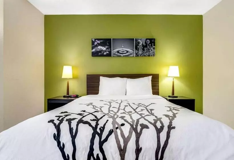 فندق Sleep Inn Near I 80 And I 94