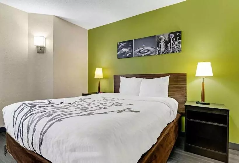 فندق Sleep Inn Near I 80 And I 94