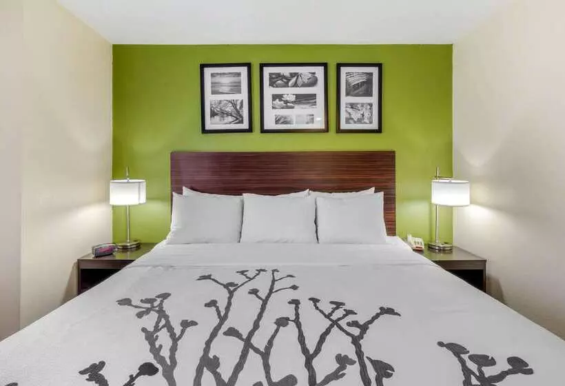 酒店 Sleep Inn Ogden Near Event Center