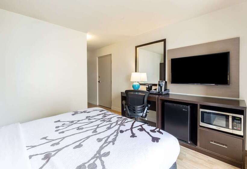 فندق Sleep Inn On The Beach