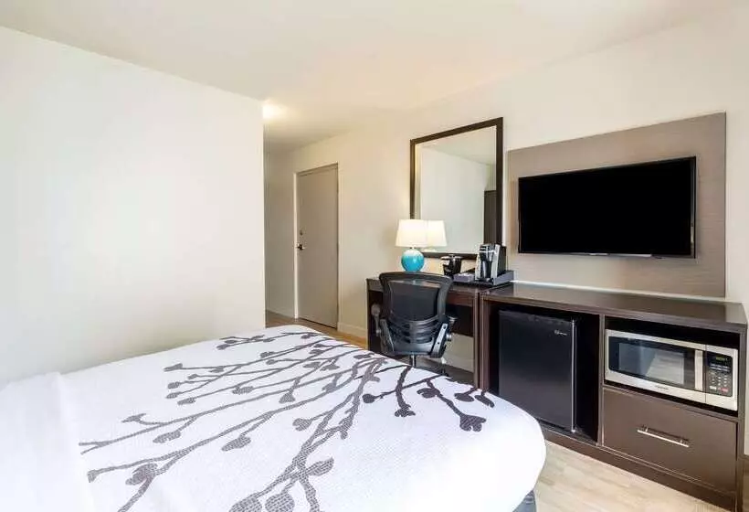 فندق Sleep Inn On The Beach