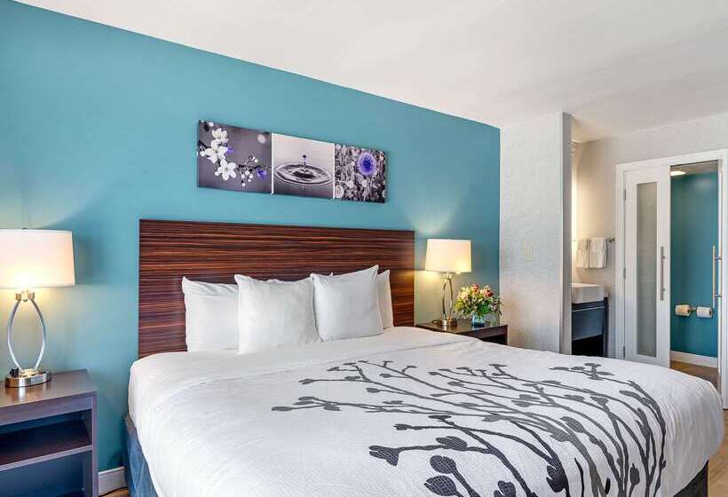 فندق Sleep Inn On The Beach