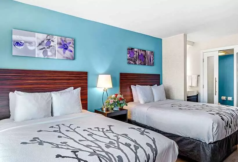 فندق Sleep Inn On The Beach