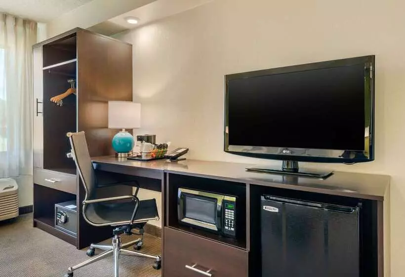 Spot X Hotel Tampa   Wesley Chapel By The Red Collection