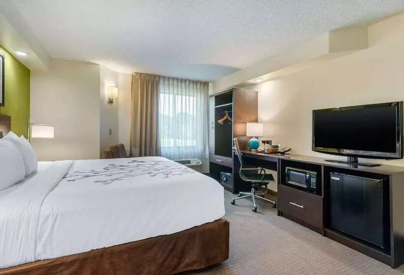 Spot X Hotel Tampa   Wesley Chapel By The Red Collection