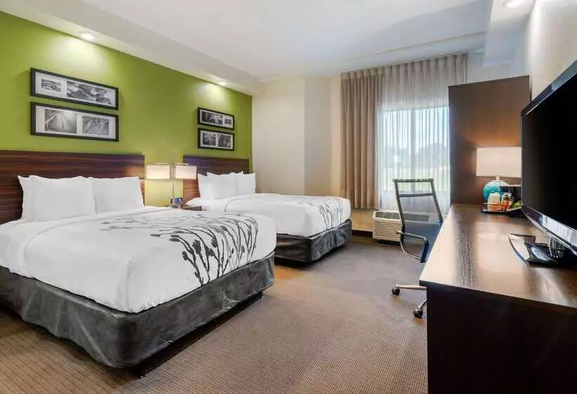 Spot X Hotel Tampa   Wesley Chapel By The Red Collection