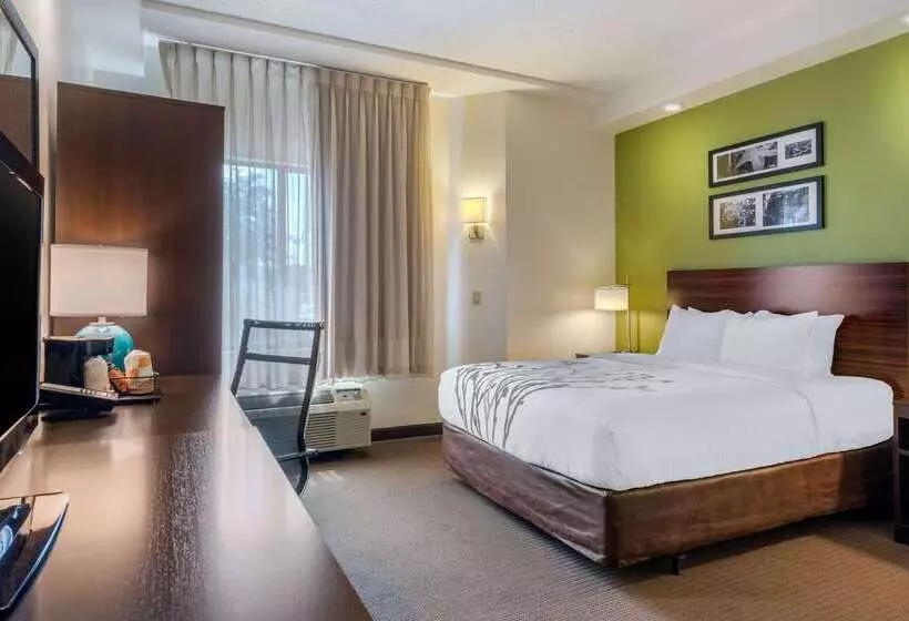 Spot X Hotel Tampa   Wesley Chapel By The Red Collection