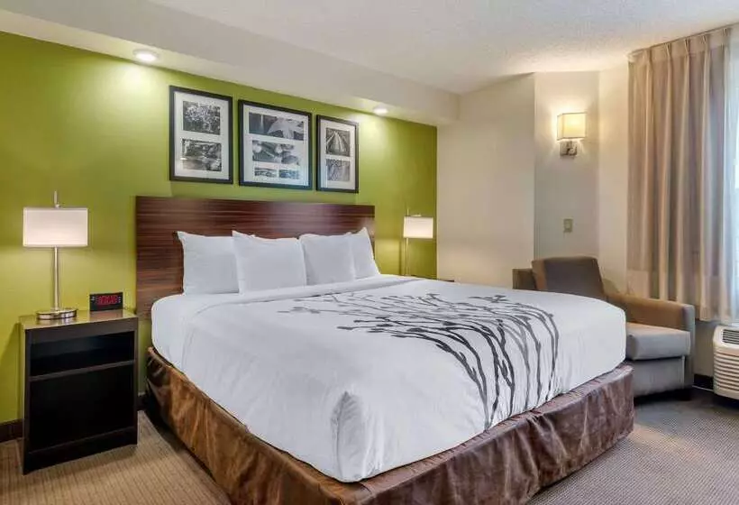 Spot X Hotel Tampa   Wesley Chapel By The Red Collection